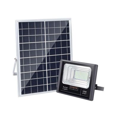 FL 100(100W)