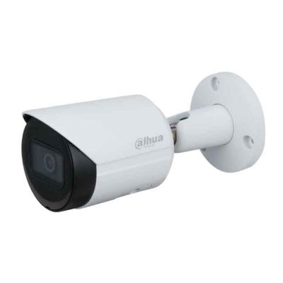 DH-IPC-HFW2431SP-S-S2