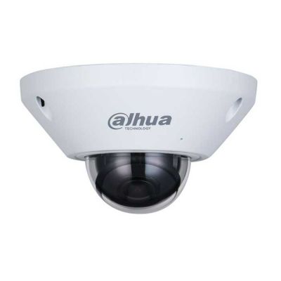 DH-IPC-EB5541P-AS